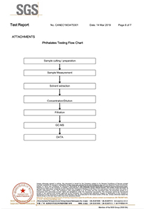 SGS檢測報(bào)告6